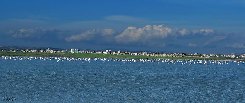 Pelides Apartments Larnaca 0*,